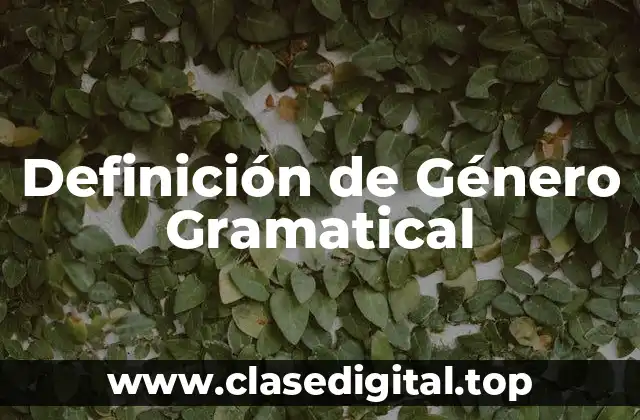 Definición de Género Gramatical