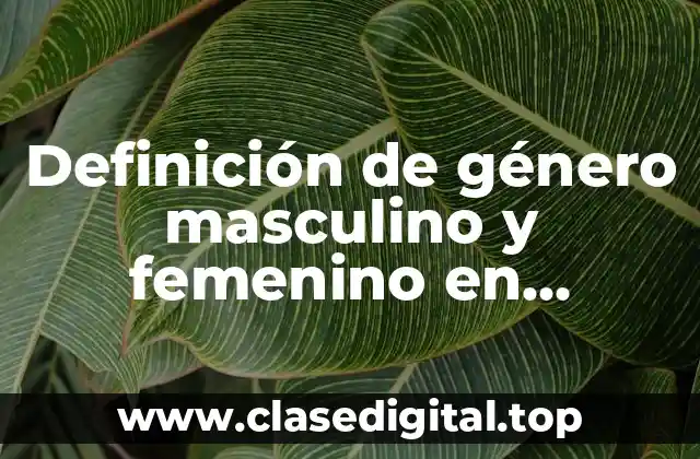 Definición de género masculino y femenino en personas