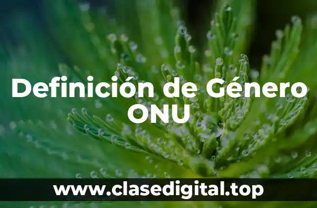 Definición de Género ONU