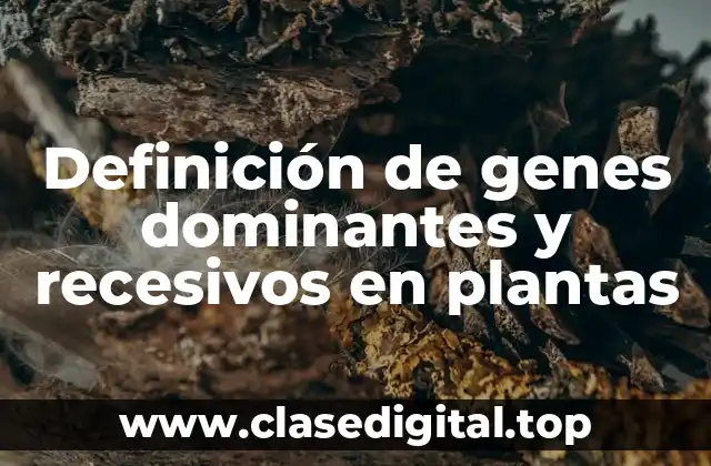 Definición de genes dominantes y recesivos en plantas