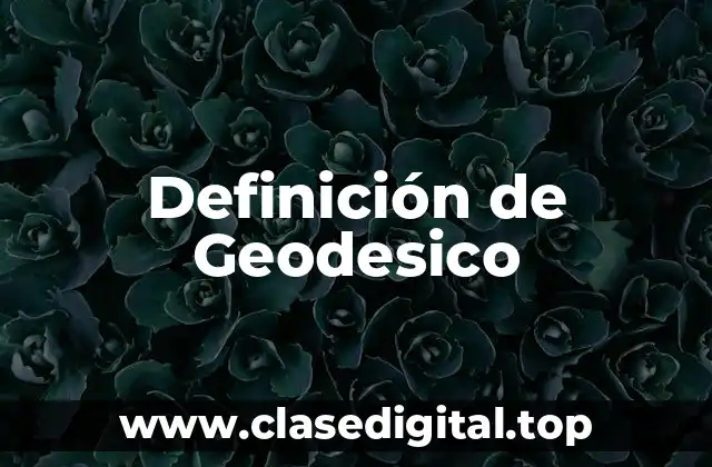 Definición de Geodesico