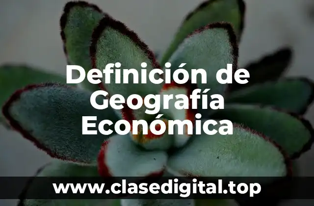 Definición de Geografía Económica
