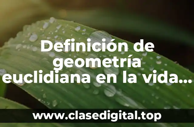 Ejemplos de geometría euclidiana