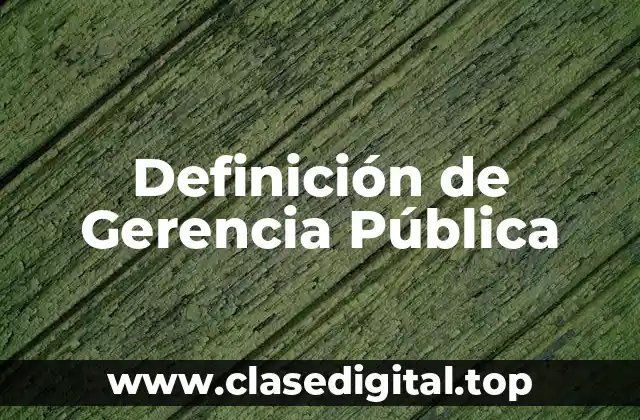 Definición de Gerencia Pública