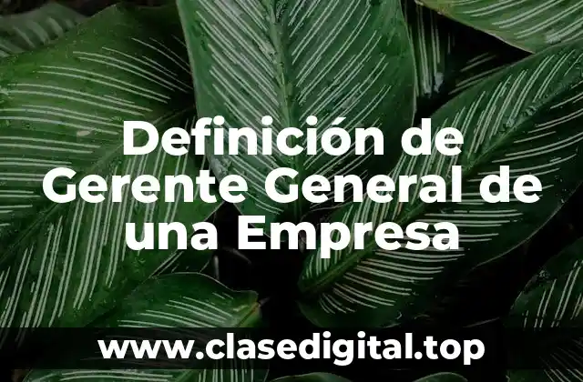 Definición de Gerente General de una Empresa