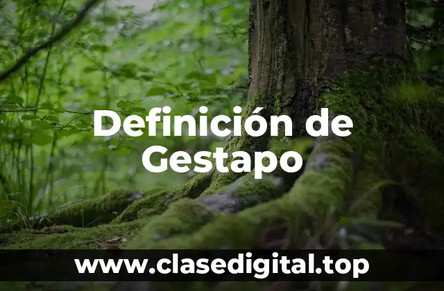 Definición de Gestapo