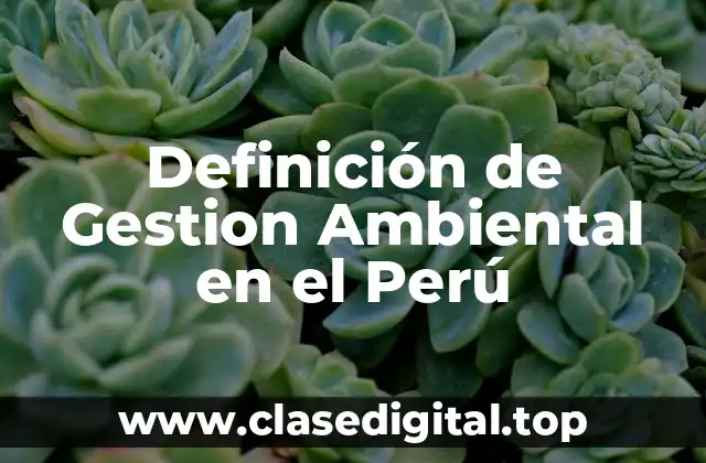 Definición de Gestion Ambiental en el Perú