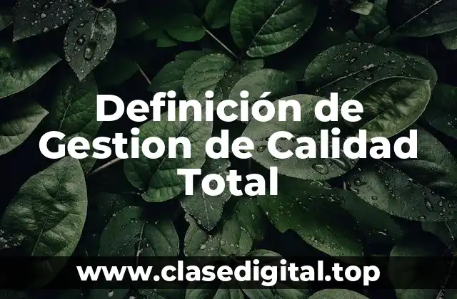 Definición de Gestion de Calidad Total