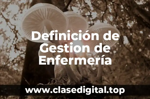 Definición de Gestion de Enfermería