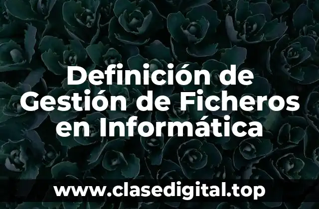 Definición de Gestión de Ficheros en Informática