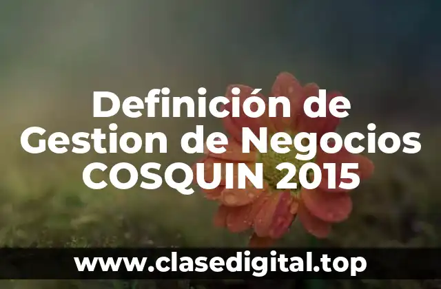 Definición de Gestion de Negocios COSQUIN 2015