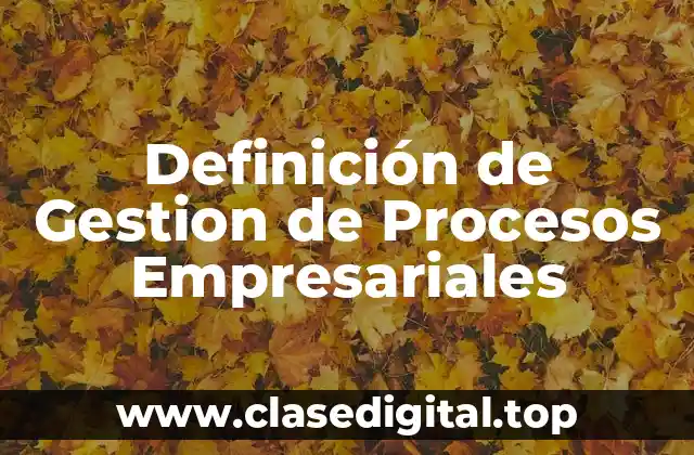 Definición de Gestion de Procesos Empresariales