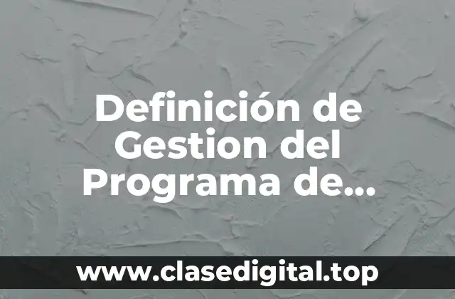 Definición de Gestion del Programa de Auditoría