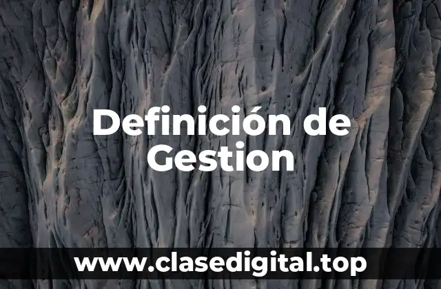 Definición de Gestion