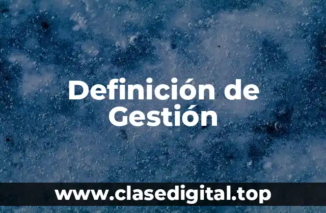 Definición técnica de Gestión