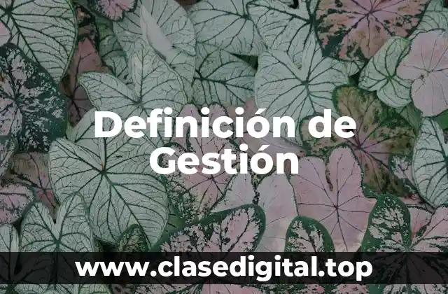 Ejemplos de Gestión