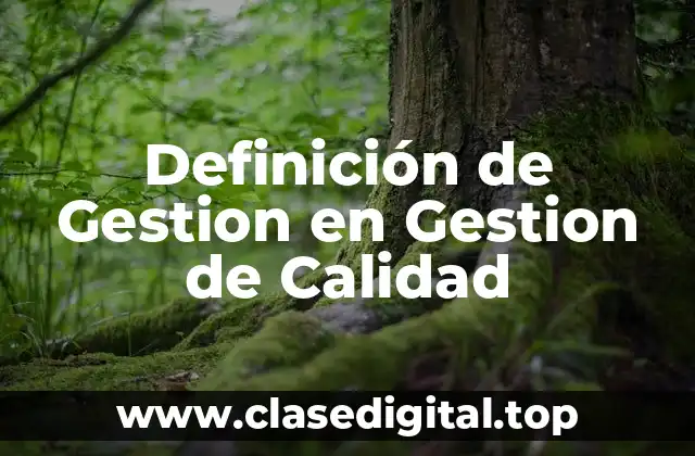 Definición de Gestion en Gestion de Calidad