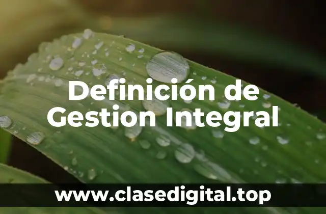Definición tecnica de Gestion Integral
