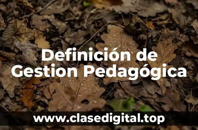 Definición de Gestion Pedagógica