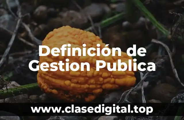 Ejemplos de Gestion Publica