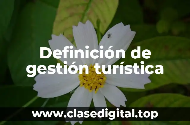 Definición de gestión turística