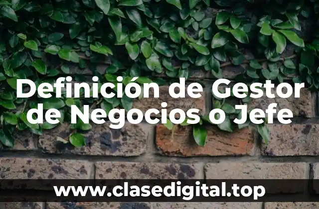 Definición de Gestor de Negocios o Jefe