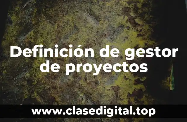 Definición de gestor de proyectos