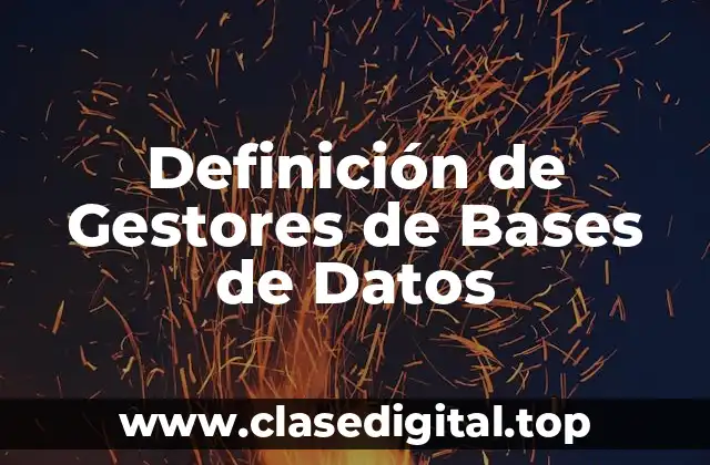 Definición de Gestores de Bases de Datos