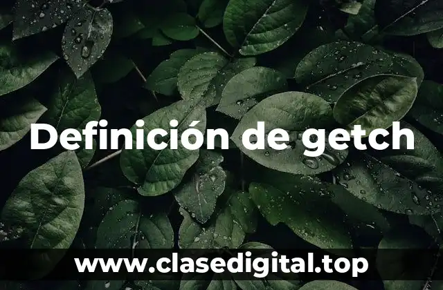 Definición de getch