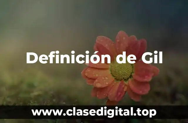 Definición de Gil