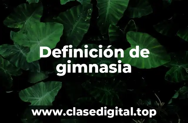Definición de gimnasia