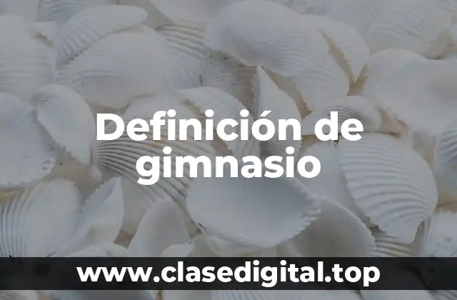 Definición de gimnasio