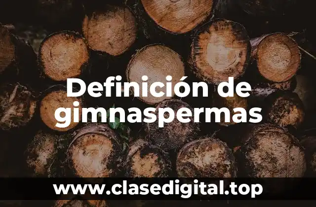 Definición de gimnaspermas