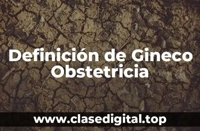 Definición de Gineco Obstetricia