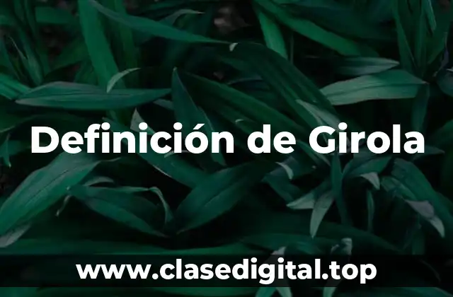 Definición de Girola