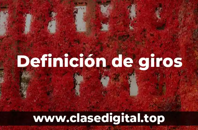 Definición de giros