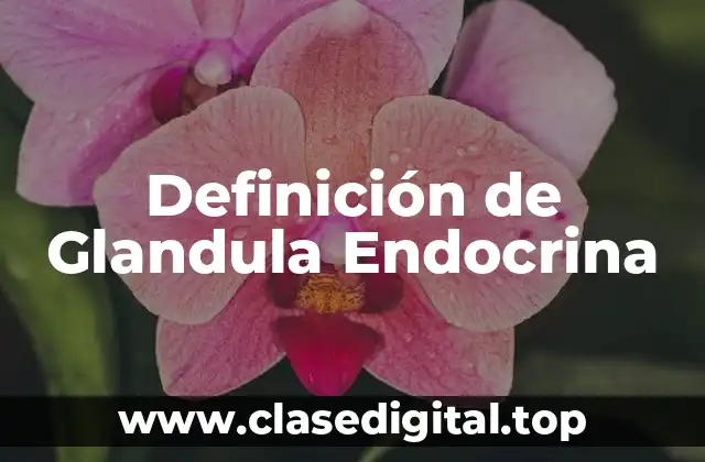 Definición de Glandula Endocrina