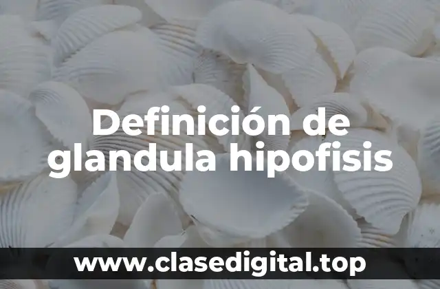 Definición de glandula hipofisis