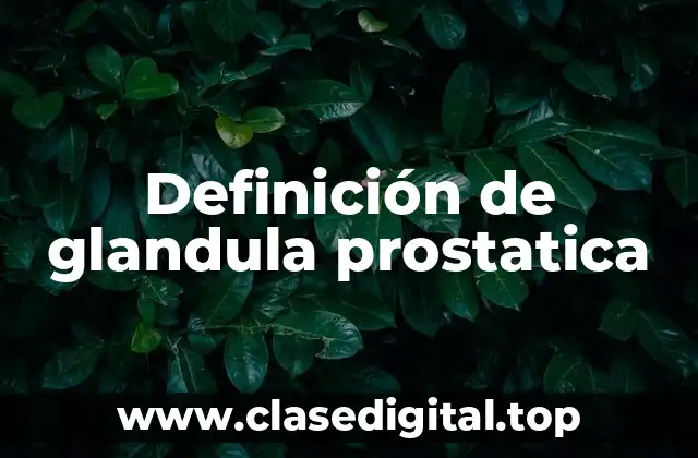 Definición de glandula prostatica