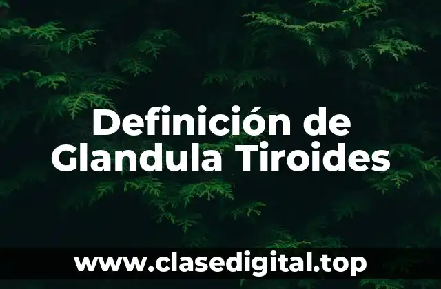 Definición de Glandula Tiroides