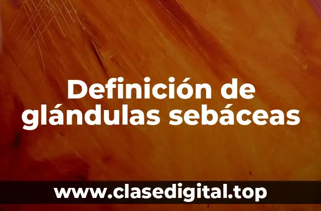 Definición de glándulas sebáceas