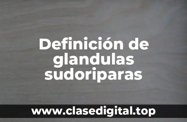Definición de glandulas sudoriparas