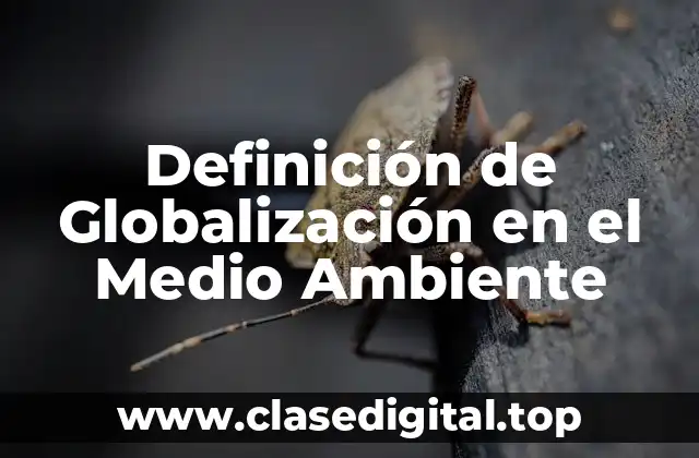 Definición de Globalización en el Medio Ambiente