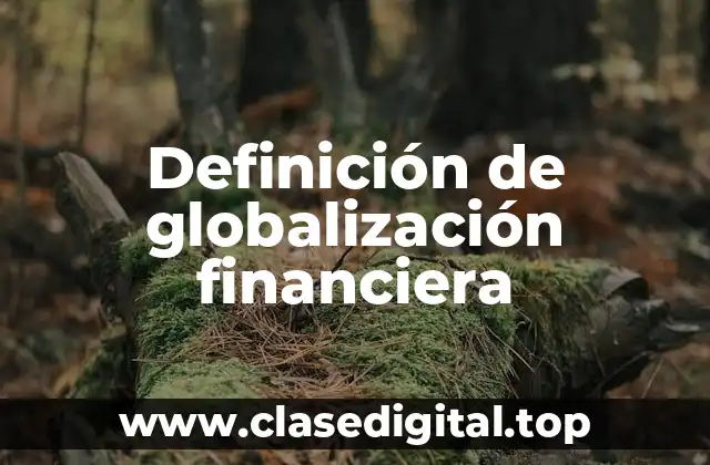 Ejemplos de globalización financiera