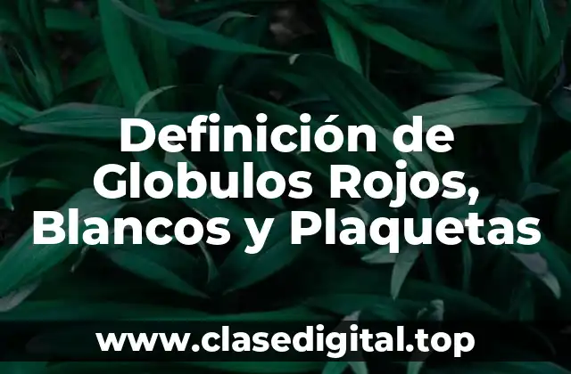 Definición de Globulos Rojos, Blancos y Plaquetas