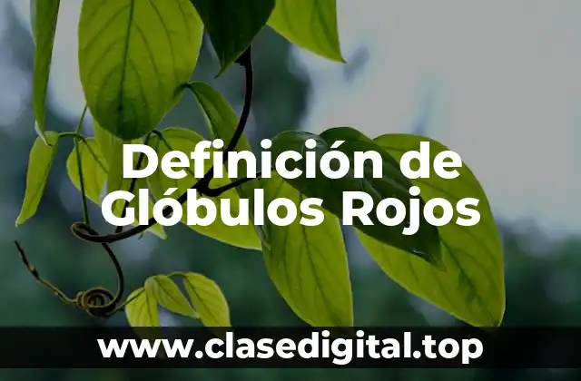 Definición de Glóbulos Rojos