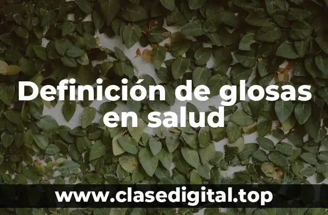 Definición de glosas en salud