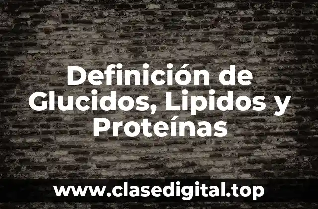 Definición de Glucidos, Lipidos y Proteínas