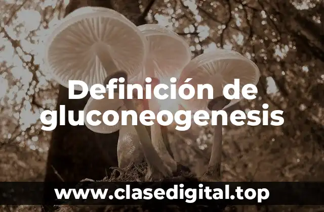 Ejemplos de gluconeogenesis