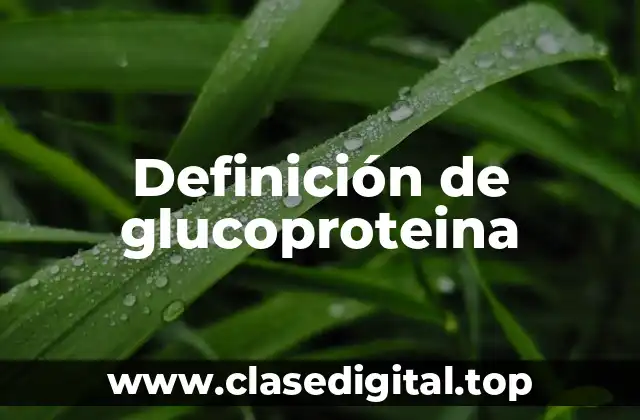Definición de glucoproteina